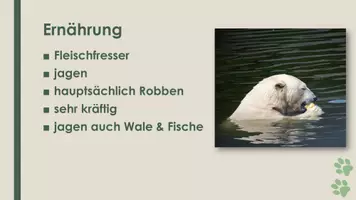 Vorschau - Präsentationen/Tafelbilder - Der Eisbär (Präsentation und H5P) - Seite 3