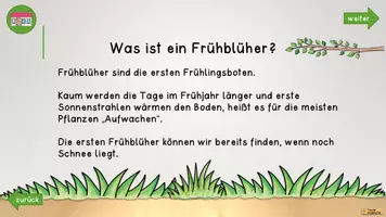 Vorschau - Interaktives Material - Interaktives PDF "Frühblüher" - Seite 2