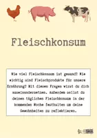 Vorschau - Arbeitsblätter - Fleischkonsumtagebuch: gesunder Fleischkonsum - Seite 3