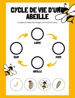 Aperçu - Préparation de séance / Séance complète - Cycles de vie +9 fiches d'activités - Page de couverture