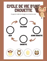 Aperçu - Préparation de séance / Séance complète - Cycles de vie +9 fiches d'activités - Page 2