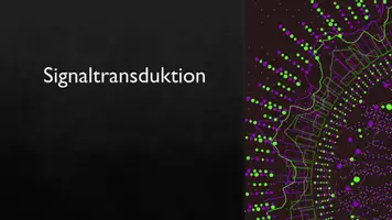 Vorschau - Präsentationen/Tafelbilder - Warm up: Signaltransduktion - Seite 1