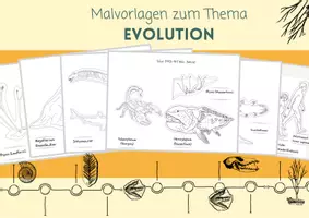 Vorschau - Mal- und Bastelvorlagen - Malvorlagen Evolution, Zeitleiste des Lebens - Seite 1