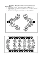 Vorschau - Arbeitsblätter - Arbeitsblatt - Elektrische Felder nachstellen - Seite 2