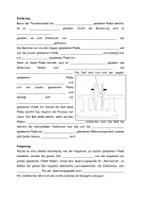 Vorschau - Arbeitsblätter - Arbeitsblatt - Plattenkondensator-Ping-Ping - Seite 1