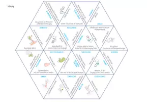 Vorschau - Spiele - das Ohr - Dreieck Domino - Seite 3
