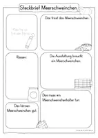 Vorschau - Stundenentwürfe - Materialpaket Haustiere komplett - Seite 1