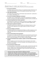 Vorschau - Arbeitsblätter - AB mit Fragen zum Thema "Helvetier" + Lösungsblatt + Infografik - Seite 3