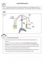 Vorschau - Arbeitsblätter - Arbeitsblatt - Leiterschaukelexperiment - Deckblatt