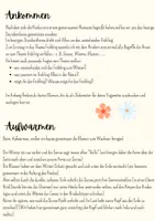 Vorschau - Stundenentwürfe - Kinderyoga Stundenbild Frühlingsyoga - Seite 2