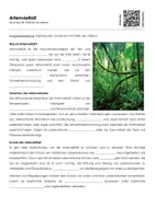 Vorschau - Arbeitsblätter - Artenvielfalt - Arbeitsblatt mit Erklärvideo - Deckblatt