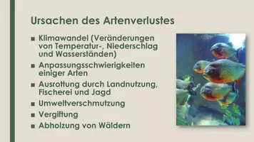 Vorschau - Präsentationen/Tafelbilder - Artenvielfalt (Präsentation und H5P) - Seite 2