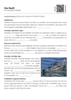 Vorschau - Arbeitsblätter - Reptilien (Materialpaket) - Seite 1