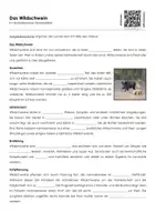 Vorschau - Arbeitsblätter - Das Wildschwein - Arbeitsblatt mit Erklärvideo - Deckblatt