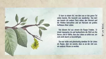 Vorschau - Fördermaterial/Inklusion - Sachunterricht Projekt: Lebenszyklus Schmetterling Kl. 2-4 - Seite 3
