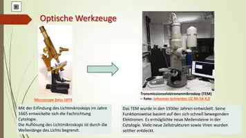 Vorschau - Arbeitsblätter - Feinbau der Zelle zum Selbstlernen - Seite 3