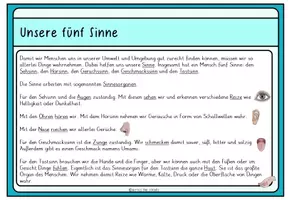 Vorschau - Anderer Materialtyp - Unsere 5 Sinne: Infokarten - Seite 2