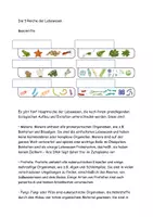 Vorschau - Arbeitsblätter - Die 5 (6) Reiche der Lebewesen Text Grafik Aufgaben Lösung - Seite 2