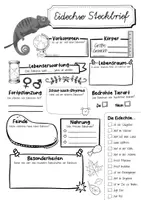 Vorschau - Arbeitsblätter - Steckbrief Eidechse - Seite 2