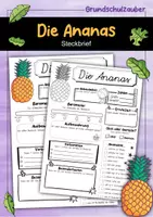 Vorschau - Arbeitsblätter - Steckbrief Ananas - Deckblatt