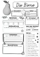 Vorschau - Arbeitsblätter - Steckbrief Birne - Seite 2