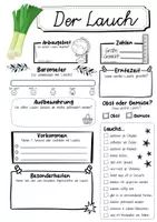 Vorschau - Arbeitsblätter - Steckbrief Lauch - Seite 1