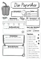 Vorschau - Arbeitsblätter - Steckbrief Paprika - Seite 2