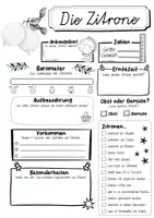 Vorschau - Arbeitsblätter - Steckbrief Zitrone - Seite 2