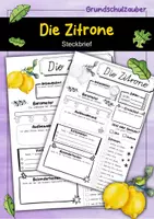 Vorschau - Arbeitsblätter - Steckbrief Zitrone - Deckblatt