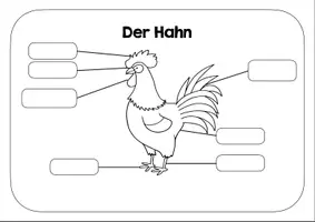 Vorschau - Arbeitsblätter - Hahn Lernplakat - Arbeitsblatt - Deckblatt