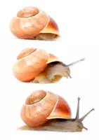Vorschau - Fördermaterial/Inklusion - Bildfolgen - 3 bis 5 Legekarten - Ordnen & Sprechen - Sprechanlässe - Gespräch & Dialog über Fotografien - Deckblatt