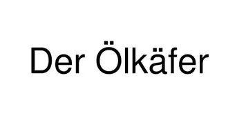Vorschau - Anderer Materialtyp - 5 Minuten Biologie: Mai_Ölkäfer - Seite 2