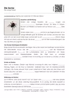 Vorschau - Arbeitsblätter - Die Zecke (Materialpaket) - Seite 1