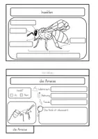 Vorschau - Unterrichtsreihen - Insekten - Flipbook zur Wissenskartei - Seite 1