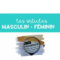 Aperçu - Apprentissages en autonomie - BOOM CARDS Les articles UN UNE LE LA L' - Page 1
