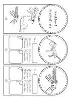 Vorschau - Unterrichtsreihen - Insekten und Krabbeltiere - Steckbriefe Fächer - Seite 1