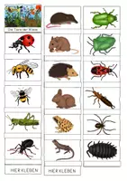 Vorschau - Mal- und Bastelvorlagen - Leporello - Tiere der Wiese - Seite 3
