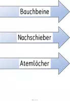Vorschau - Poster - Tafelmaterial - Poster Körperbau Raupe und Schmetterling - Seite 3