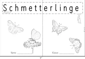 Vorschau - Arbeitsblätter - Schmetterlinge - Lapbook für die 1. und 2. Klasse - Deckblatt