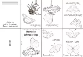 Vorschau - Arbeitsblätter - Schmetterlinge - Lapbook für die 1. und 2. Klasse - Seite 3