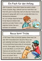 Vorschau - Aufgabenkarten - Abschreibkartei / Abschreibtexte "Unsere Haustiere" DaZ / DaF / Deutsch - Seite 3
