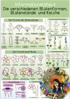 Vorschau - Arbeitsblätter - Übersichtsblatt - Bestimmung einer Blume - Deckblatt