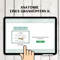 Vorschau - Spiele - ANATOMIE EINES GRASHÜPFERS QUIZ II. - Deckblatt