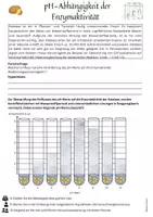 Vorschau - Arbeitsblätter - Einfluss von Temperatur und pH-Wert auf die Enzymaktivität (theoretische Auswertung) - Seite 1