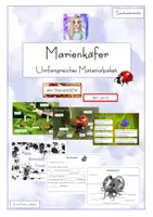 Vorschau - Unterrichtsreihen - Materialpaket - Marienkäfer - Deckblatt