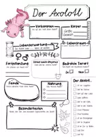 Vorschau - Arbeitsblätter - Steckbrief Axolotl - Seite 1