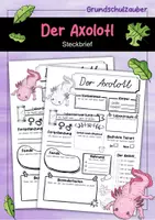 Vorschau - Arbeitsblätter - Steckbrief Axolotl - Deckblatt
