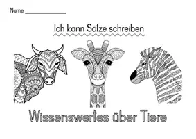 Vorschau - Arbeitsblätter - 54 (!) Seiten Schüttelsätze / Materialpaket "Schüttelsätze" - Seite 3