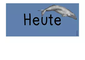 Vorschau - Anderer Materialtyp - Tagestransparenz - Wale/blau - Seite 2