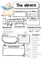 Vorschau - Arbeitsblätter - The Alpaca Profile Fact Sheet (English) - Seite 1